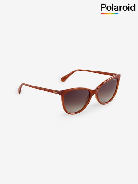 Polaroid Cat Eye Brown Sunglasses (F01441) | 372 LEI