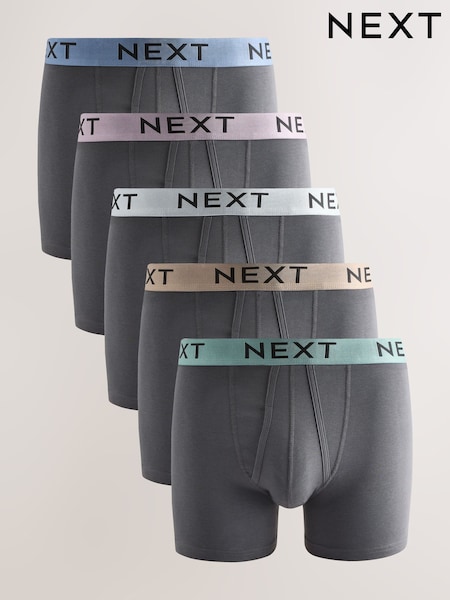 Grey Light Metallic Waistbands A-Front Boxers 5 Pack (F03300) | €31
