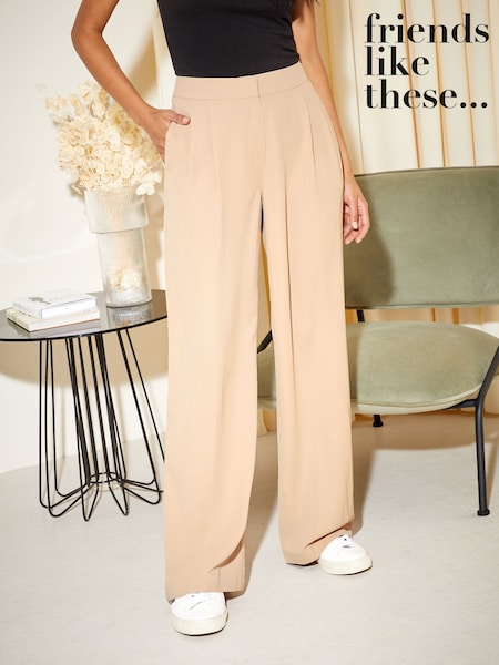 Friends Like These Premium Wide Leg Smart Trousers (F05092) | 193 LEI