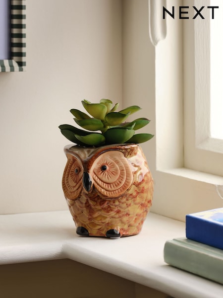 Green Artificial Succulent in Ceramic Owl Pot (F14545) | € 21