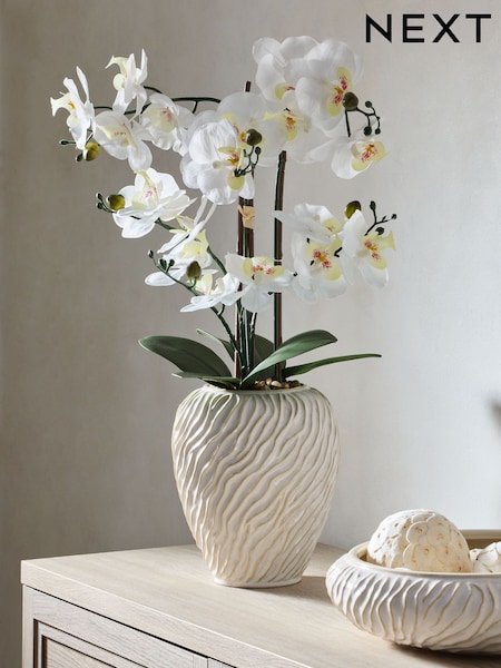 White Artificial Orchid in Fairford Vase (F14555) | €66