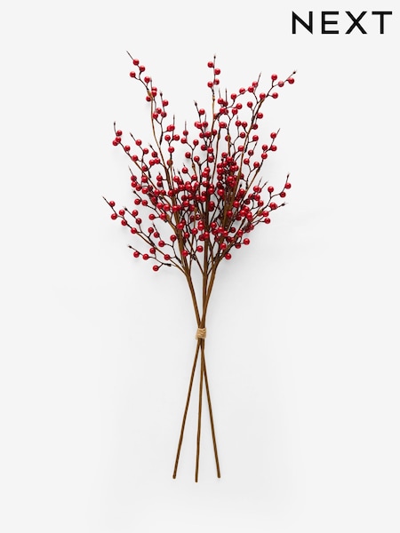 Red Artificial Winter Berries (3 Stems) (F14567) | €31