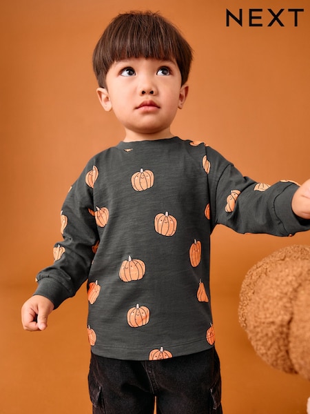 Grey/Orange Pumpkin Halloween Long Sleeve Graphic Print T-Shirt (3mths-7yrs) (F15482) | €7.50 - €10