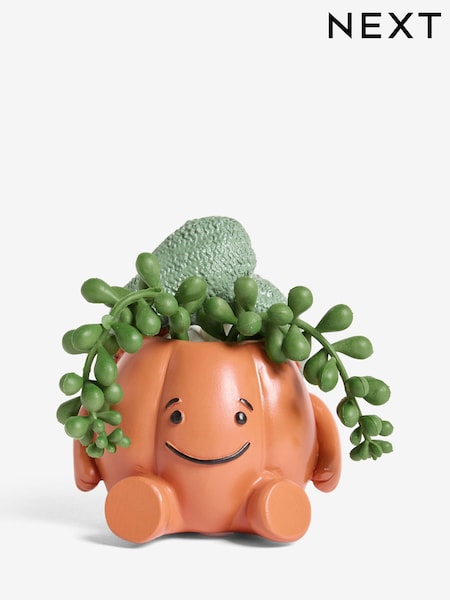 Hair Wrap Artificial Plant Pumpkin Spa Ornament (F23147) | €16