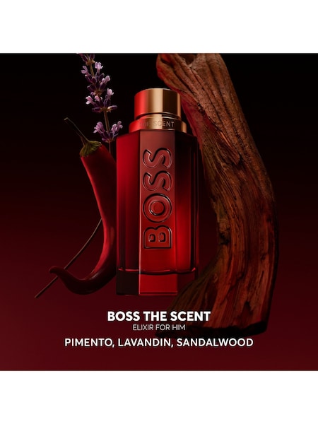 BOSS The Scent Elixir Parfum Intense for Him 50ml (F23198) | €117
