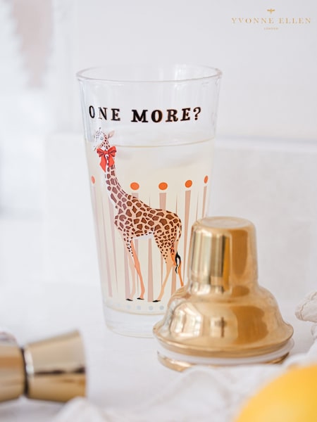 Yvonne Ellen Clear Cocktail Shaker (F23292) | €34