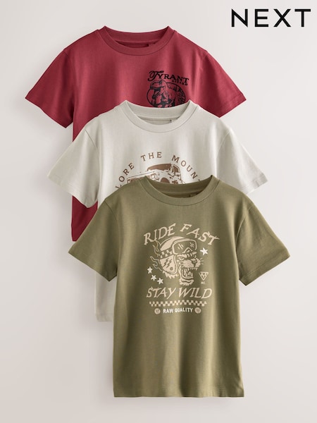 Khaki/Grey/Berry Regular Fit Graphic Print Short Sleeve T-Shirts 3 Pack (3-16yrs) (F23637) | €30 - €39