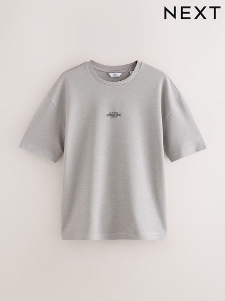 Grey Relaxed Fit Graphic Print Heavyweight Striped T-Shirt (F28718) | €19