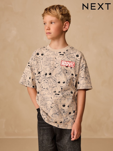 Stone Guardians Of The Galaxy Groot T-Shirt (3-16yrs) (F34078) | €18 - €23