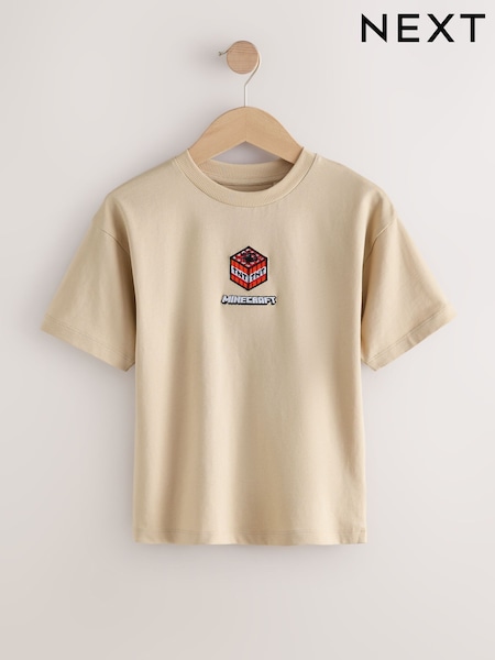 Stone Licensed Minecraft T-Shirt (3-16yrs) (F34080) | AZN 25 - AZN 32