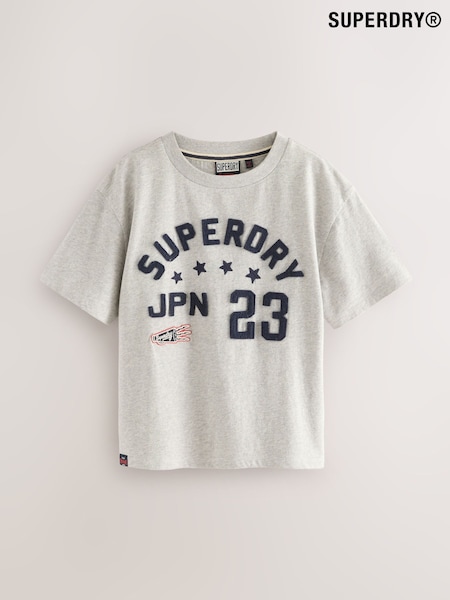 Superdry Grey Navy T-Shirt (F41209) | €23 - €29