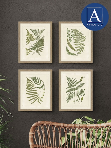 Artko Birch Woodland Ferns HF Set of 4 Framed Art (F41942) | €129
