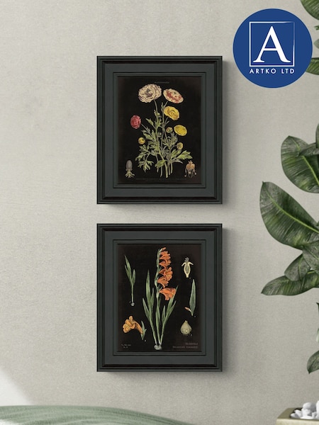 Artko Black Floral Chart HF Set of 2 by Sue Schlabach Framed Art (F41976) | €108