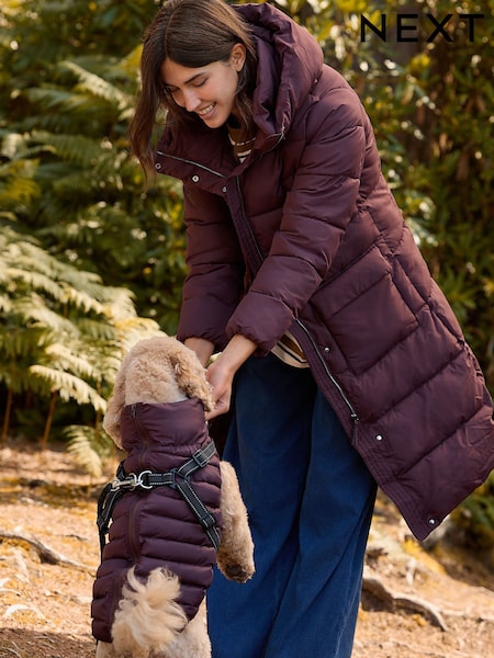 Burgundy Shower Resistant Padded Hooded Coat (F42344) | €73