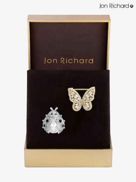 Jon Richard Silver Tone Bug Gift Boxed Brooches Pack Of 2 (F51320) | €25