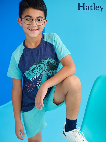 Hatley Blue T-Rex Dinosaur T-Shirt and Shorts Set (F53065) | €42
