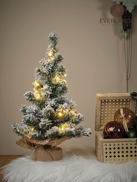 Everlands Green Imperial Pine Pre Lit 45cm Miniature Christmas Tree (F53736) | €23