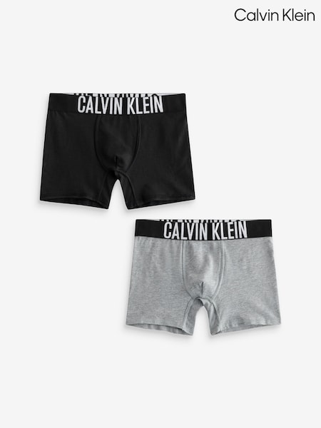Calvin Klein Intense Power Boxer Briefs 2 Pack (F54487) | 45 €