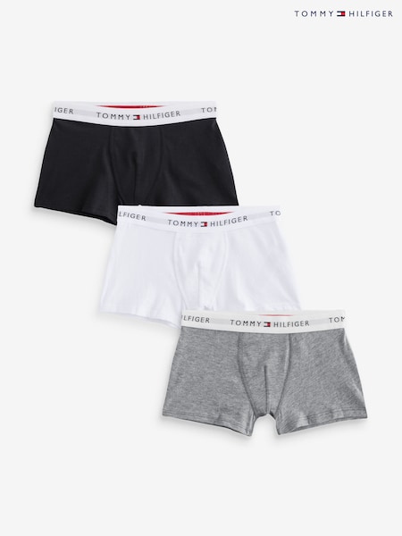 Tommy Hilfiger Chalk White Tommy Hilfiger Signature Essential Boxer Briefs 3 Pack (F55232) | €36