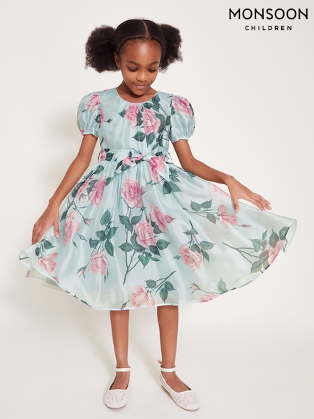 Monsoon Green Rosaline Flower Print Organza Dress (F57175) | AED384 - AED455