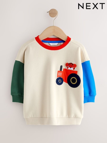 Ecru Colourblock Appliqué Crew Neck Jersey Sweatshirt (3mths-7yrs) (F60327) | 54 QAR - 64 QAR