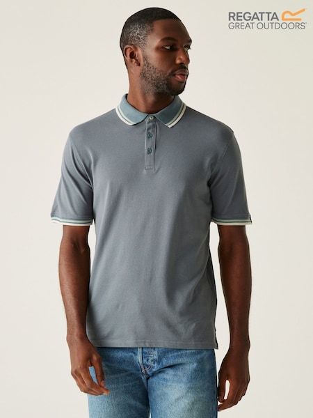 Regatta Grey Mens Adryan Polo Shirt (F64819) | €40