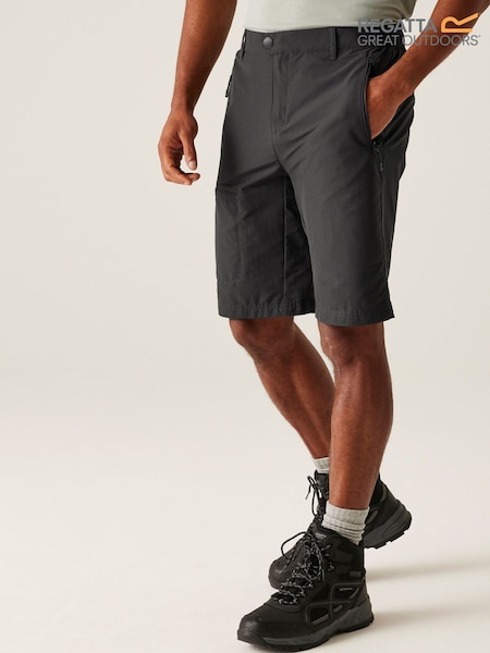 Regatta Mens Highton Long Walking II Shorts (F64868) | 2 523 грн