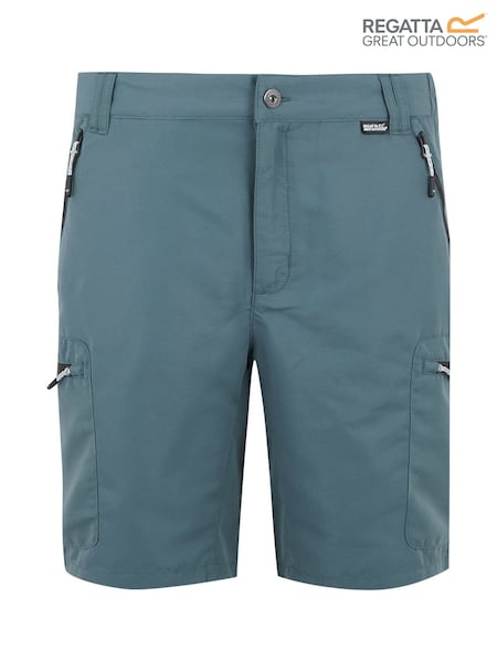 Сіре світло - Чоловічі прогулянкові шорти Leesville Multi Pocket III Regatta (F64905) | 1 923 грн
