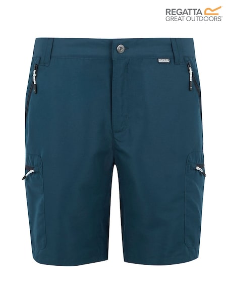 Синій - Чоловічі прогулянкові шорти Leesville Multi Pocket III Regatta (F64961) | 1 923 грн