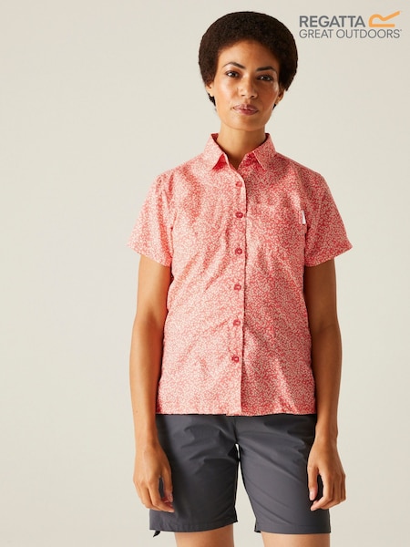 Regatta Orange Womens Mindano VIII Short Sleeve Shirt (F65182) | 1,472 UAH
