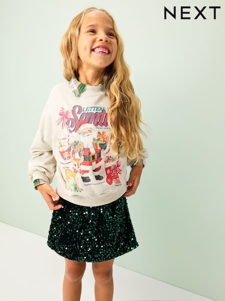 Grey Santa Long Sleeve Sweatshirt (3-16yrs) (F69674) | €14 - €20