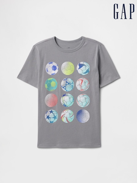 Gap Grey Graphic T-Shirt (4-13yrs) (F70161) | €13