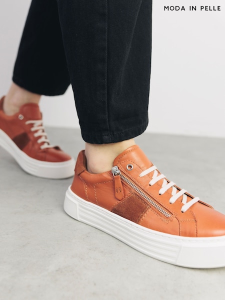 rjava - Moda in Pelle Shoon Ely Side Zip Mid Slab Sole Trainers (F77240) | € 117