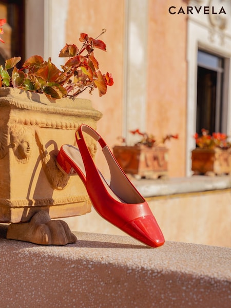 Carvela Amelia Pumps (F87843) | €158