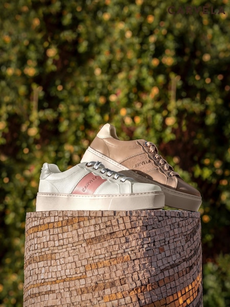 Carvela Castella Taupe Trainers (F88233) | ₪699