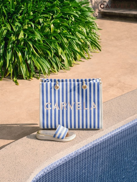 Carvela  Palermo Stripe Mule Sandals (F88255) | AED577