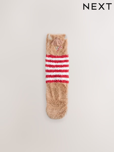 Hamish The Highland Cow - Cosy Ankle Socks in a Box 1 Pack (F94634) | € 8