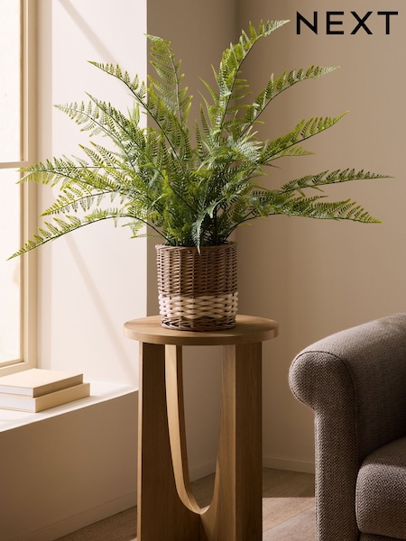 Green Artificial Fern In Malvern Woven Basket (G00063) | €69