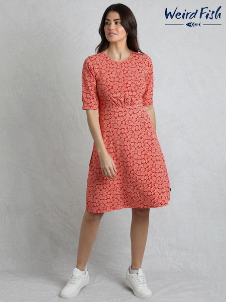 Weird Fish Cassandra Printed Jersey Swing Dress (G00494) | 298 LEI