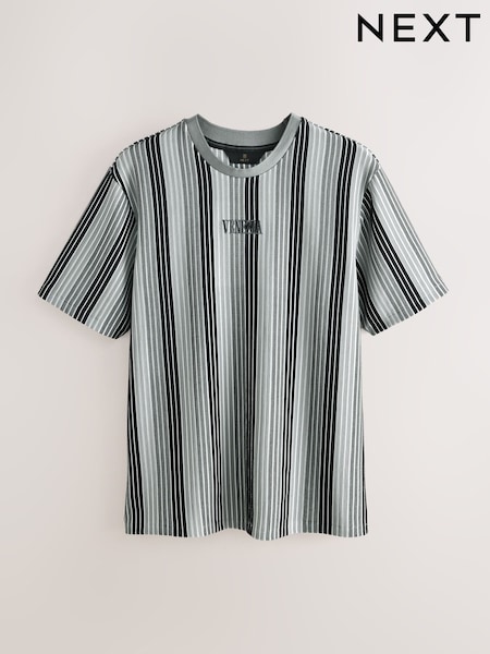 Grey Smart Vertical Stripe T-Shirt (G01726) | 119 QAR