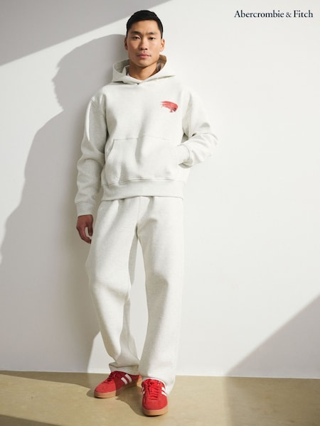 YPB Abercrombie & Fitch Grey Neo KNIT MAX Popover Metallica Hoodie (G13224) | SGD 145