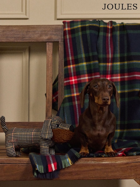 Joules Henson Check Heritage Dog Toy (G13763) | €21.95