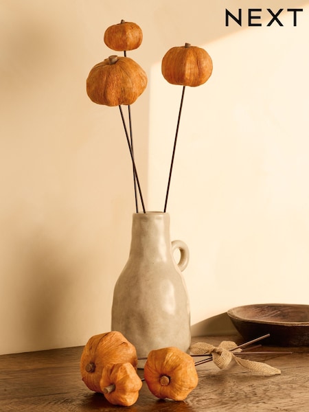 Pot Pourri