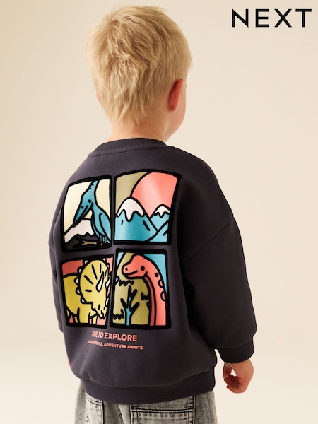 Dark Grey Dinosaur - Back Printed Crew Neck Sweat Top (3mths-7yrs)