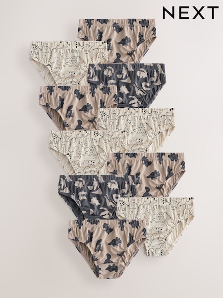 Neutral Dinosaur - Briefs 10 Pack (1.5-10yrs)