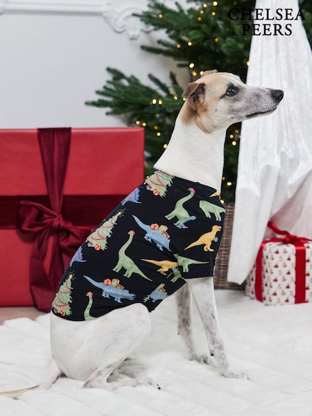 Chelsea Peers Blue Pets Christmas Dinosaur Print Pyjama T-Shirt (G52883) | €26