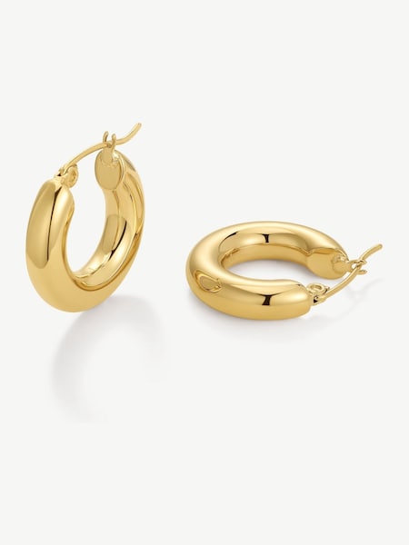 D.Louise Gold Tone Waterproof Chubby Hoop Earrings (G62575) | €51