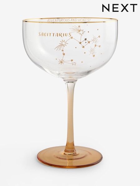 Zodiac Star Sign Horoscope Cocktail Glass