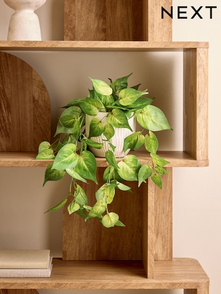 Artificial Trailing Plant In Ceramic Pot
