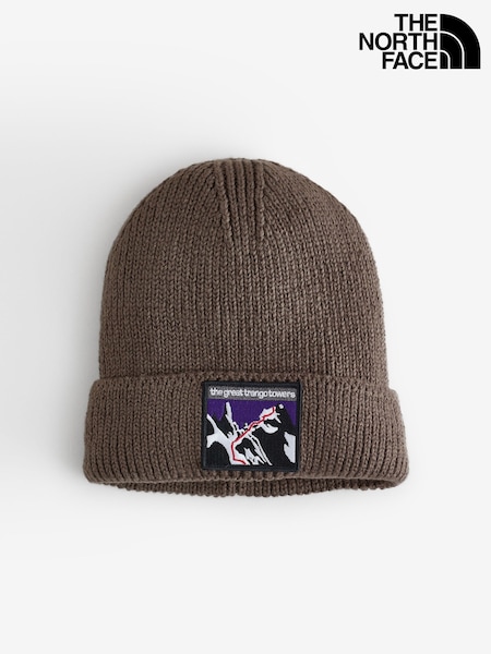 Коричневый - Regular The North Face Logo Box Cuffed Beanie